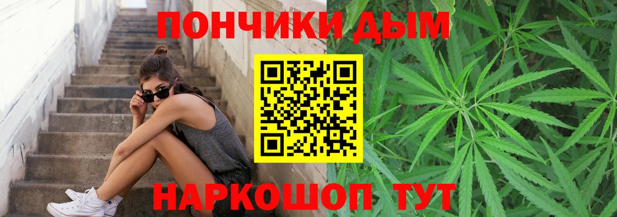 Бошки марихуана сатива  Марихуана планчик  Вход с VPN  Каннабис White Widow  Великий Новгород 